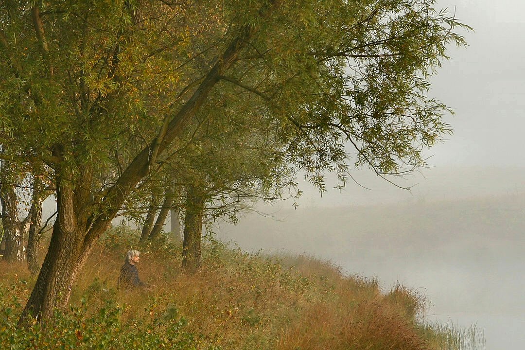 Zen.nl, Zen, meditatie, leren mediteren, foto